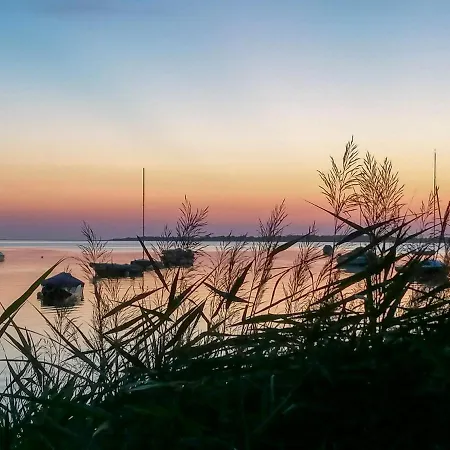 Reetdachhaus Am Haff