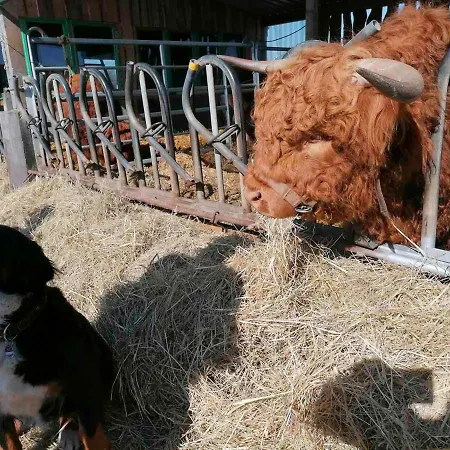 Reetdachhaus Am Haff 度假居